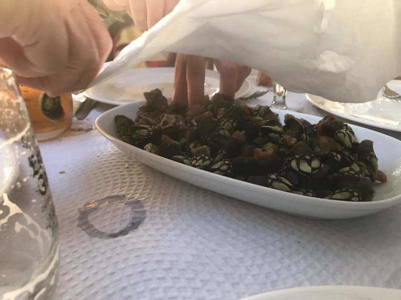 Mariscos a Ria
