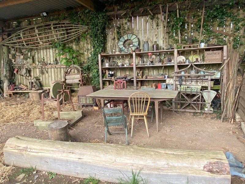 Woodland Valley Farm – Home of the Cornwall Beaver Project