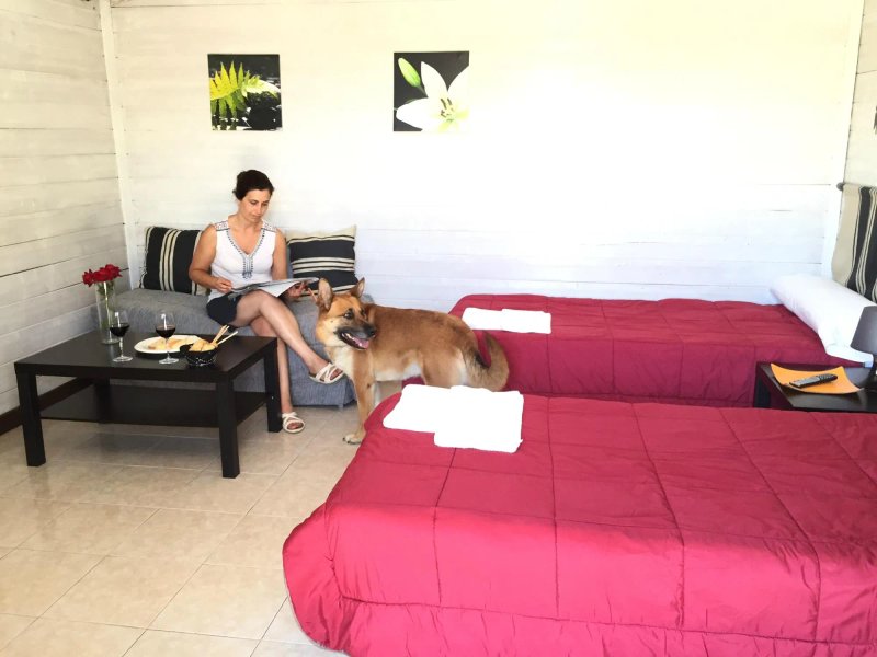 Caravaning Oyambre