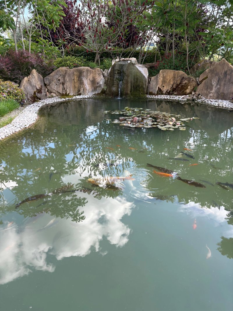 Tenuta Fogliani Resort & Natural Spa
