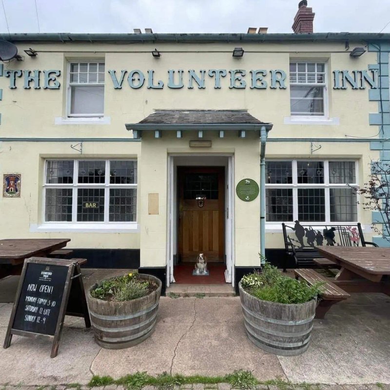 The Volunteer