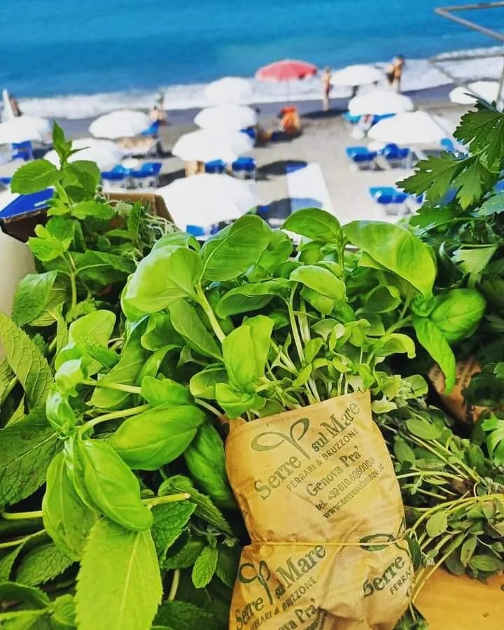 Ristorante dei Bagni Il Beluga