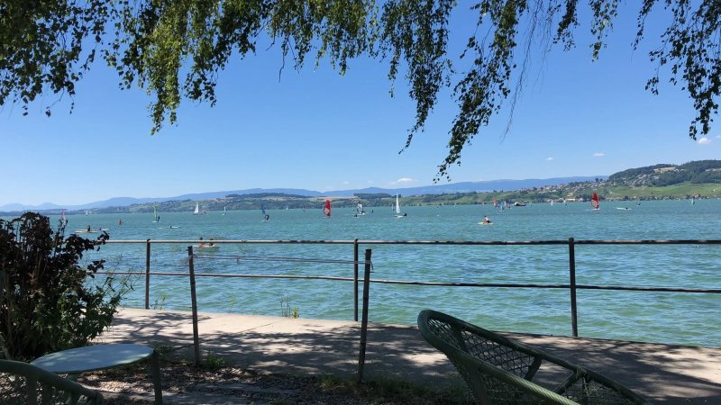 Best Western Seepark Hotel Murten