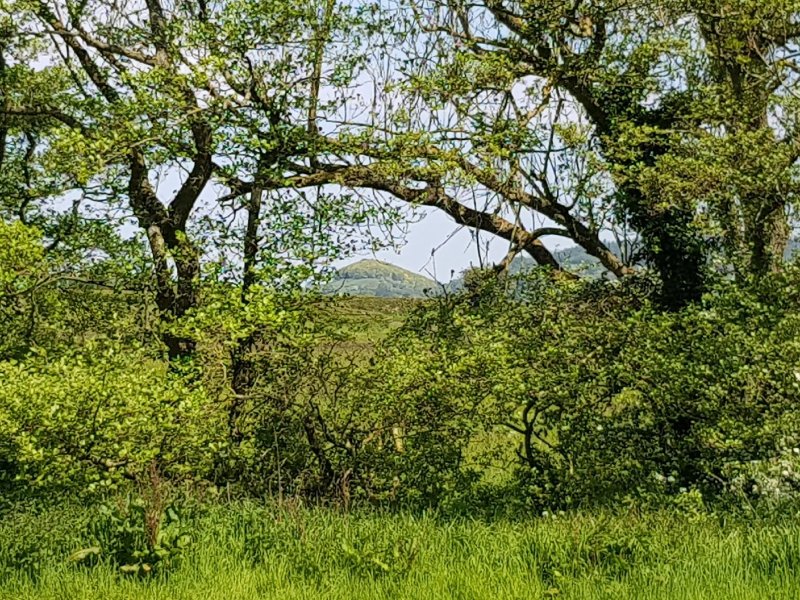 Hillside Caravan Park