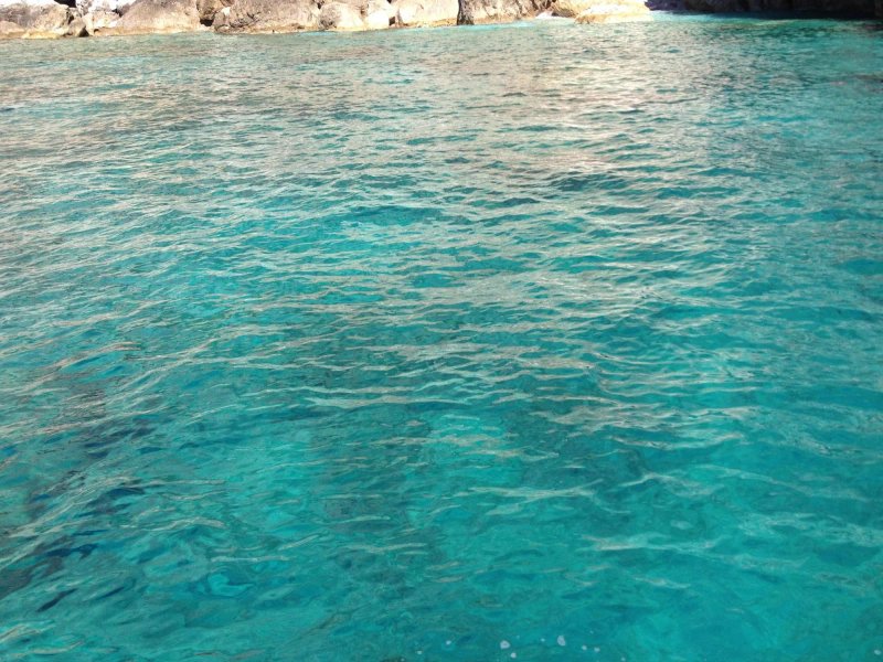Capri Boat Ciro Aliperta