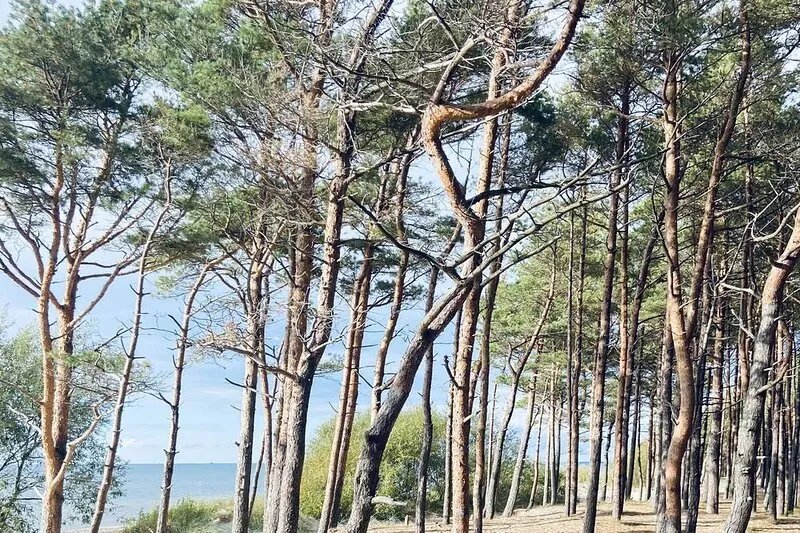 In a wonderful, quiet place, only 300 m from the sea.