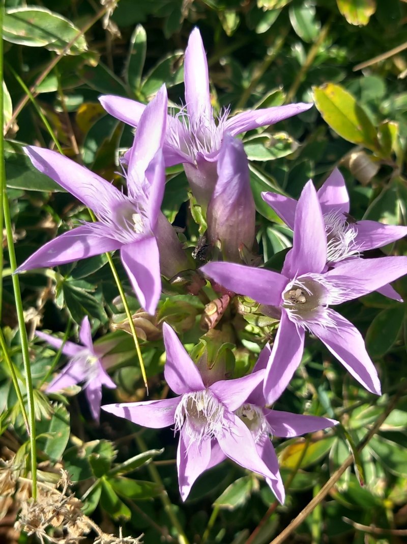 Rifugio Novezzina