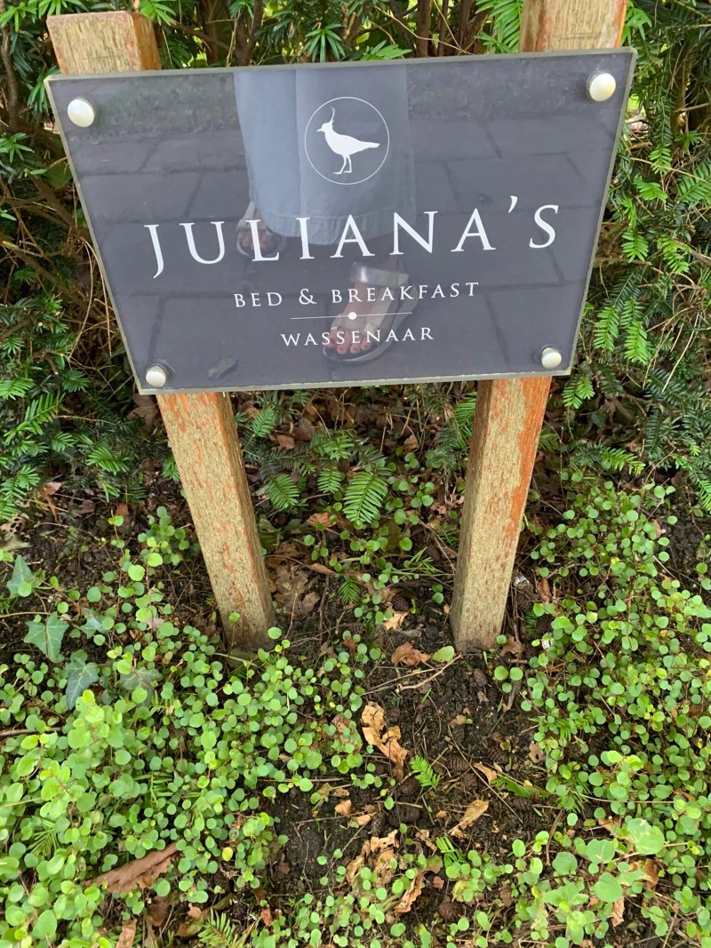 Juliana’s Bed and Breakfast