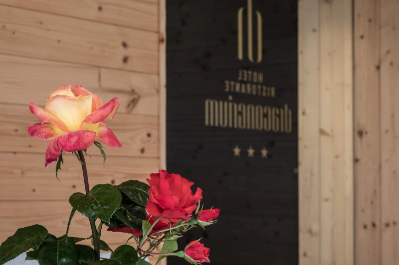 Draconerium Ristorante Pizzeria