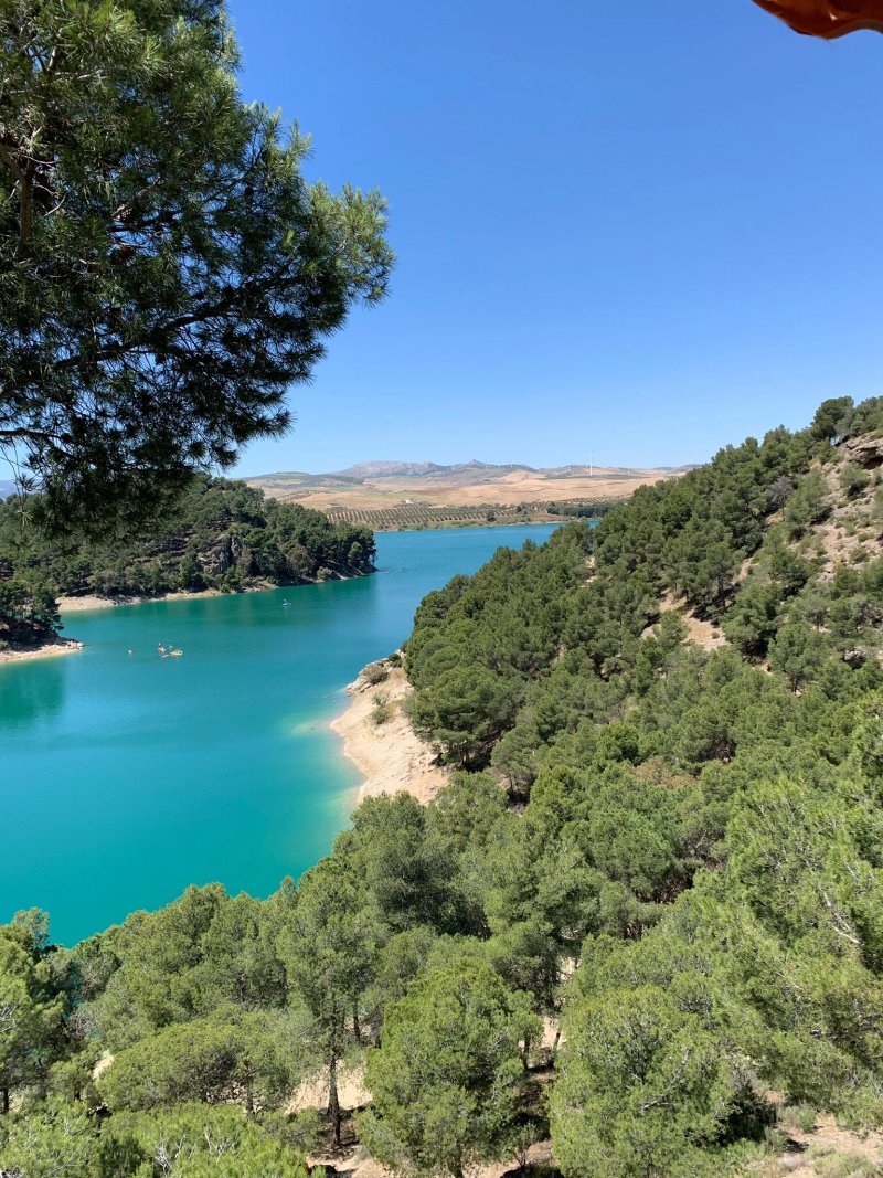 The Olive Branch El Chorro