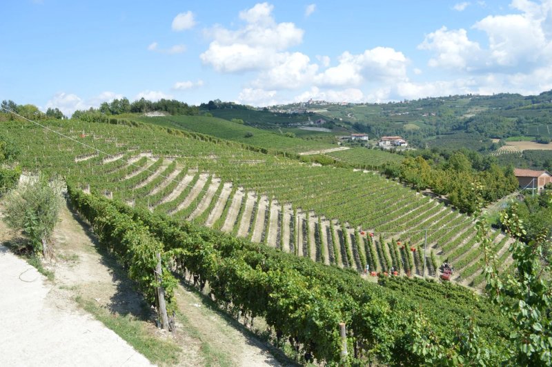 Ristorante dell'Agriturismo la Ruota