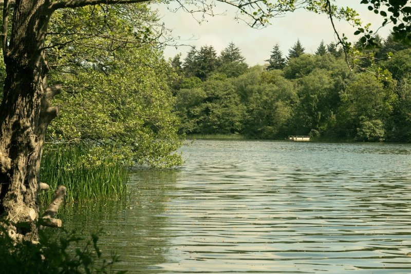 Fritton Lake