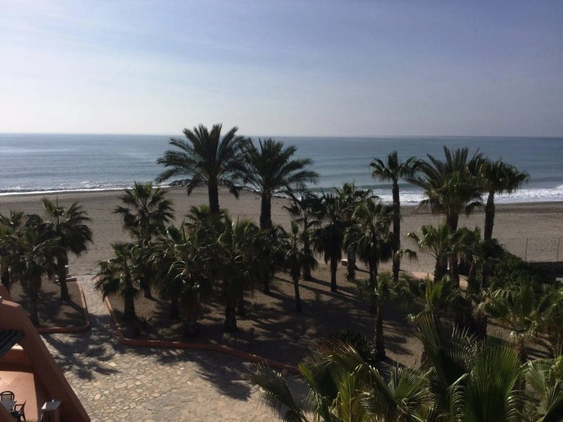 Playavera Hotel