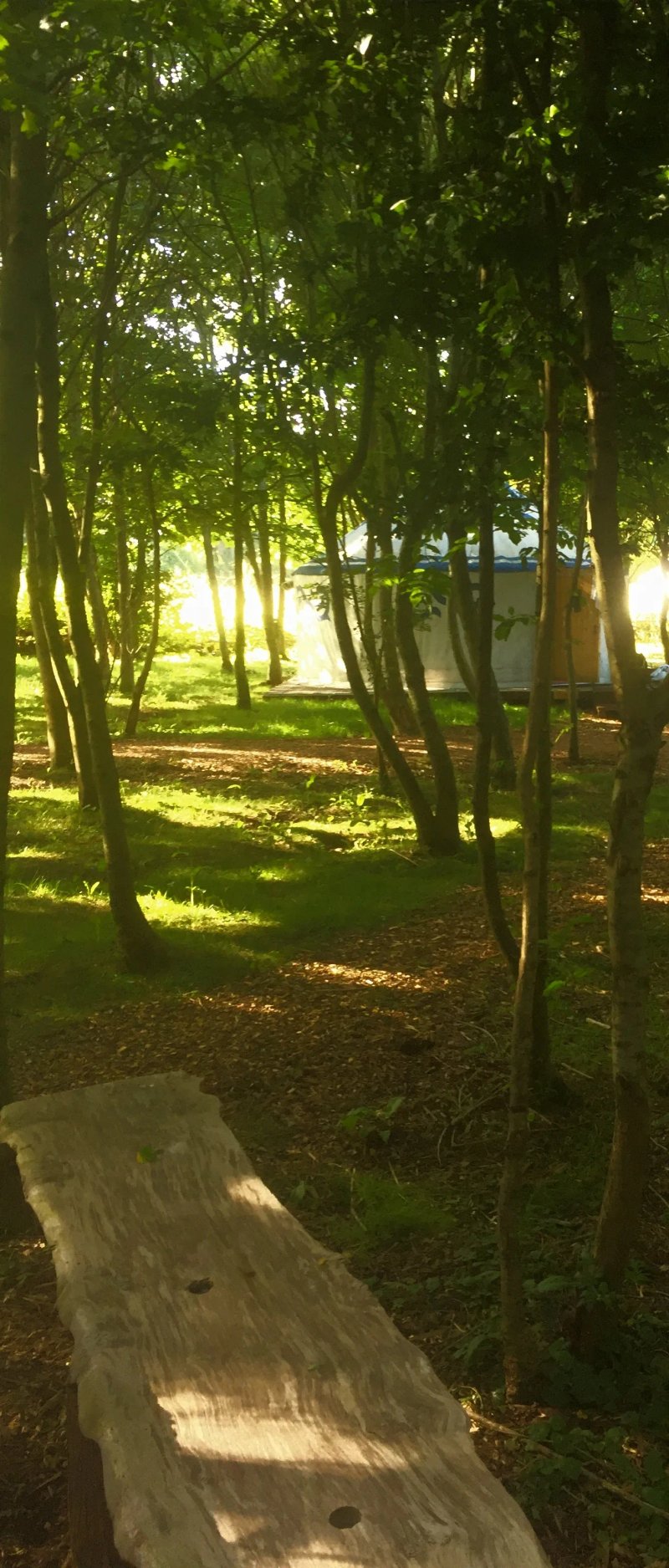Elessar Yurt Village