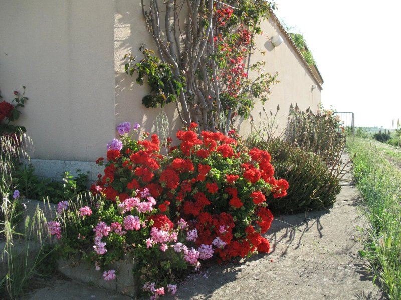 Azienda Agricola Silvia Sillitti