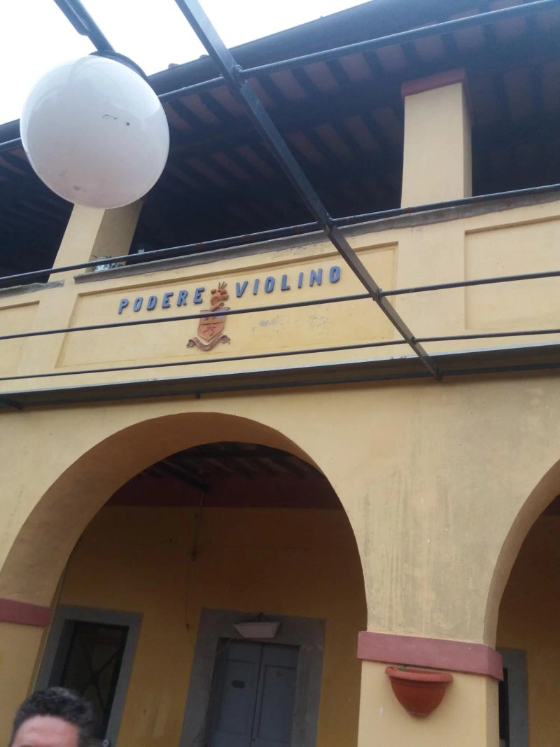 Podere Violino
