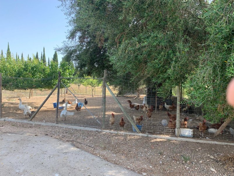 Can Feliu Ecoagroturismo