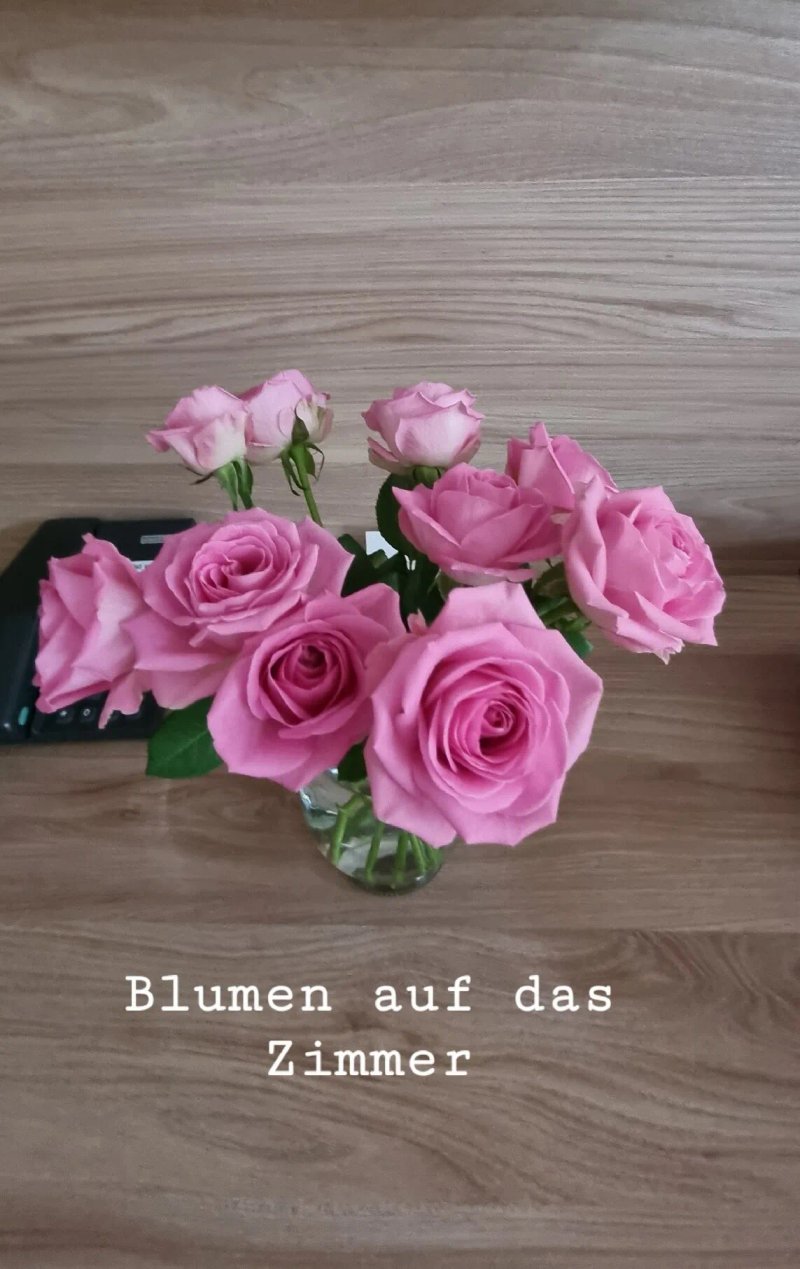 Good Morning Erfurt