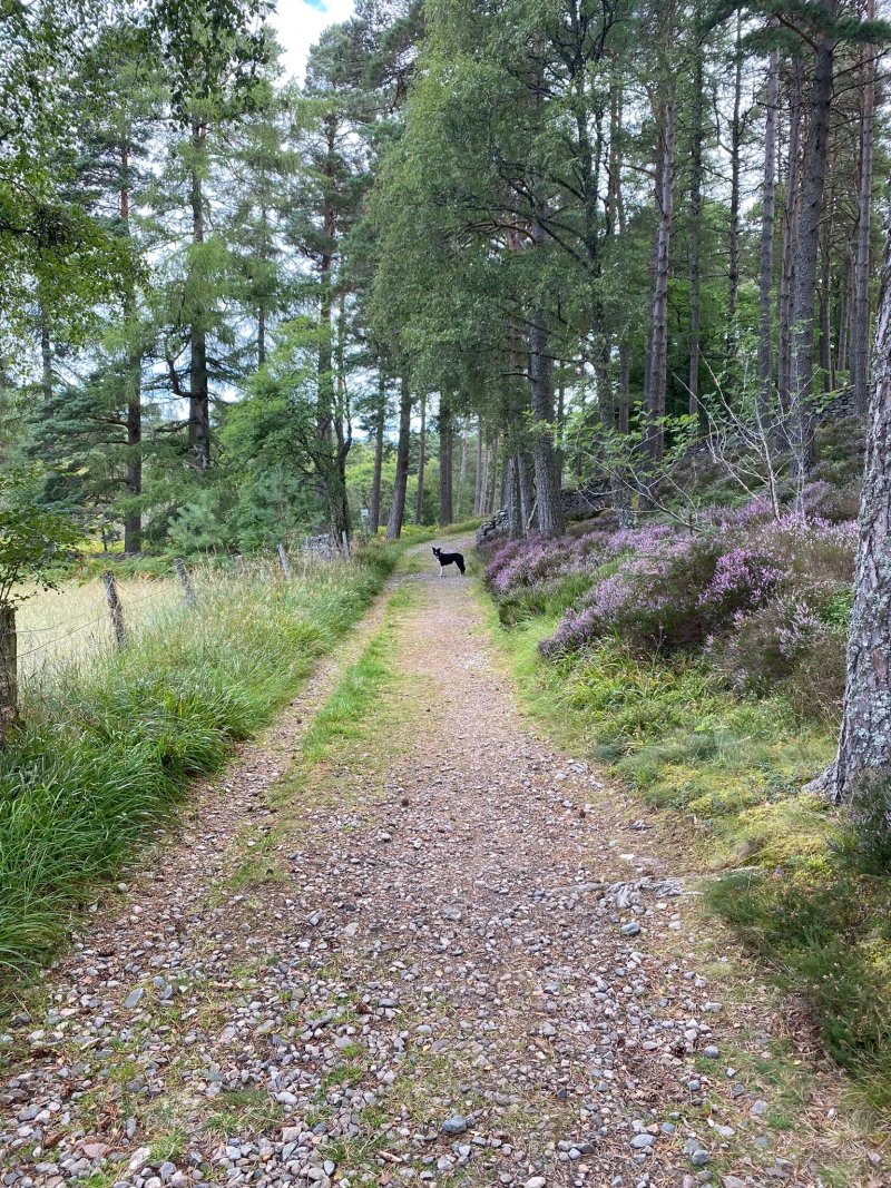 Ballater Caravan Park