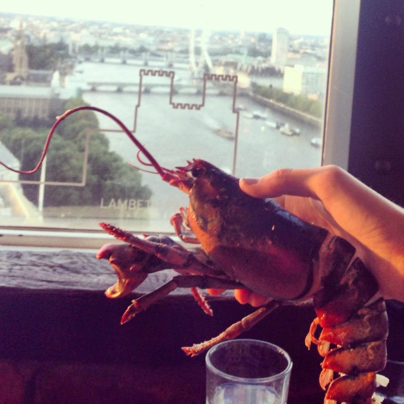 Lobster London