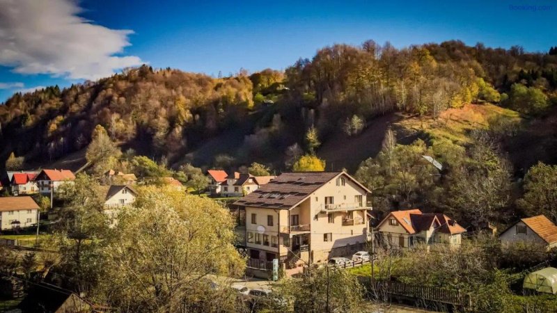 Pensiunea Montan Din Bran Spa Indoor