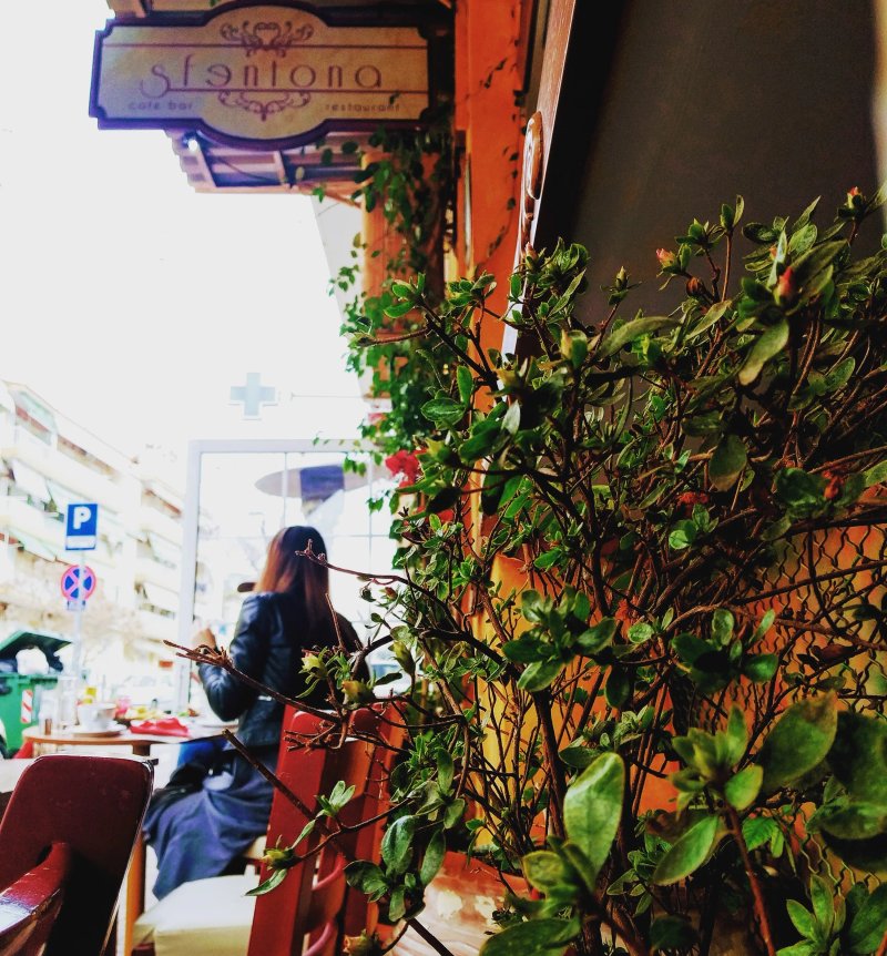 Sfentona Art Cafe Bar