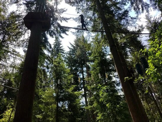Go Ape Thetford