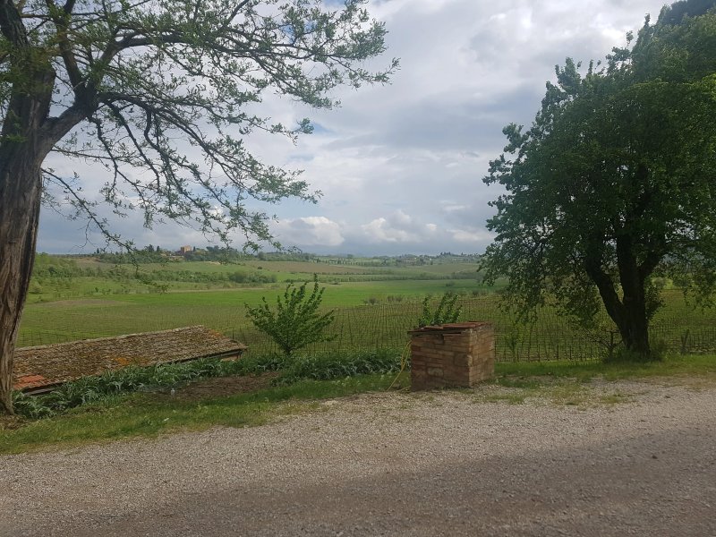 Tenuta di Petriolo