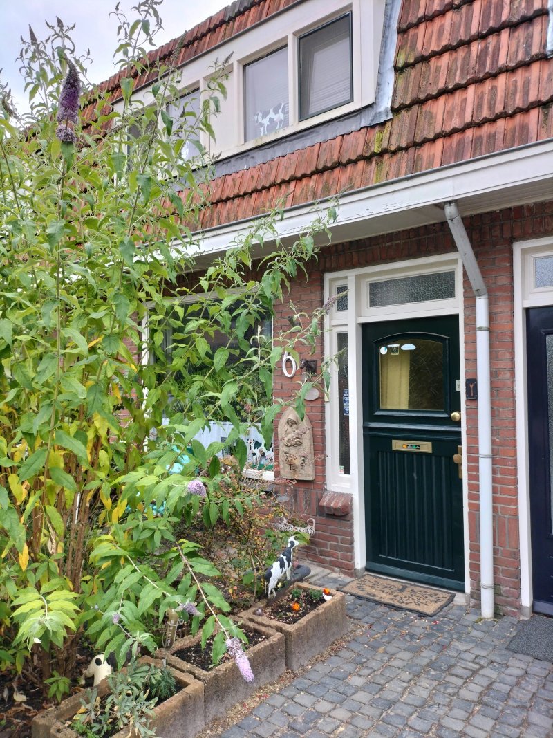 B&B Bij de Koeien
