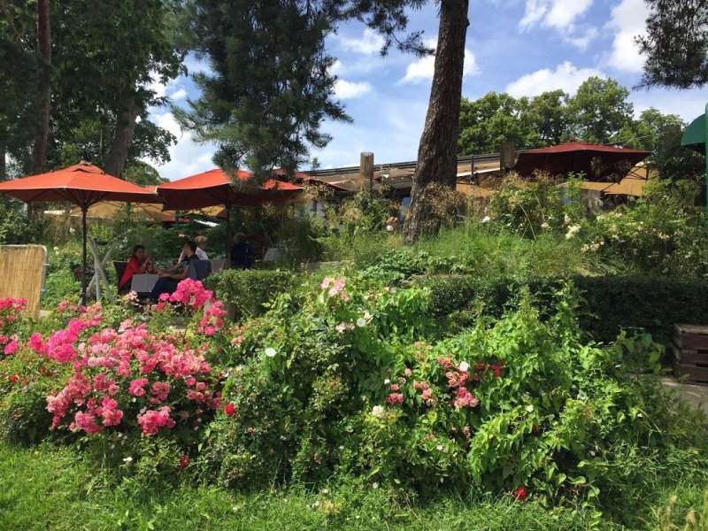 Le Chalet Des Iles