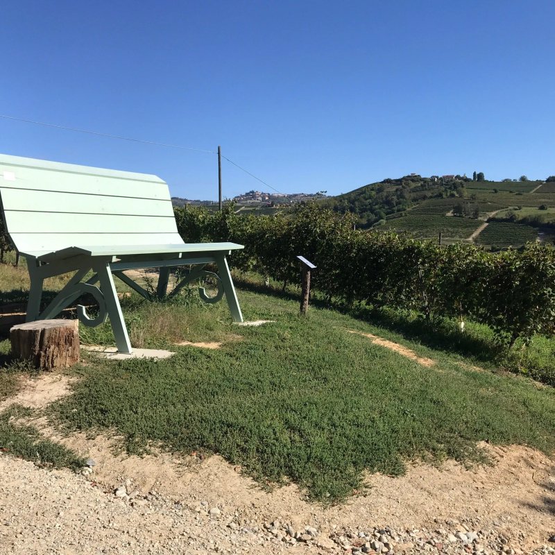 Tenuta Tamburnin