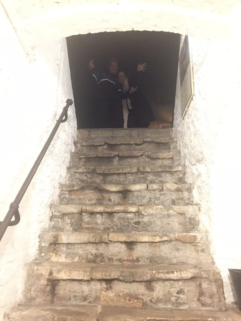 Estro Armonico