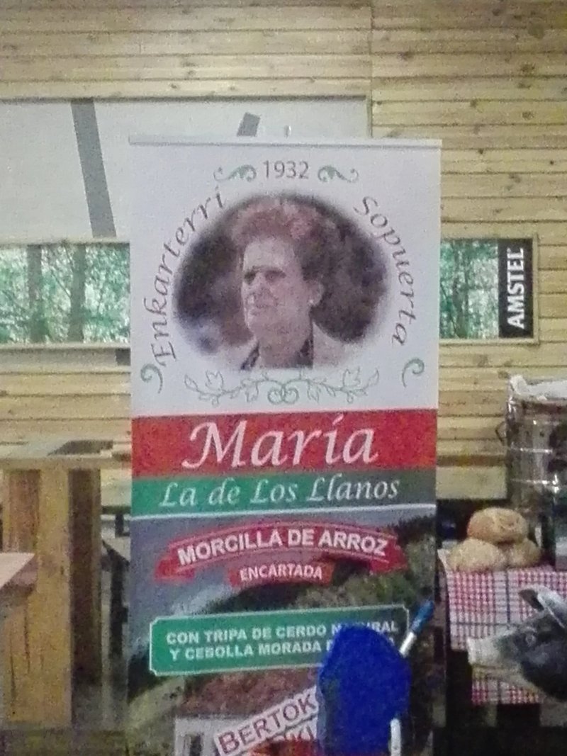 Pollito