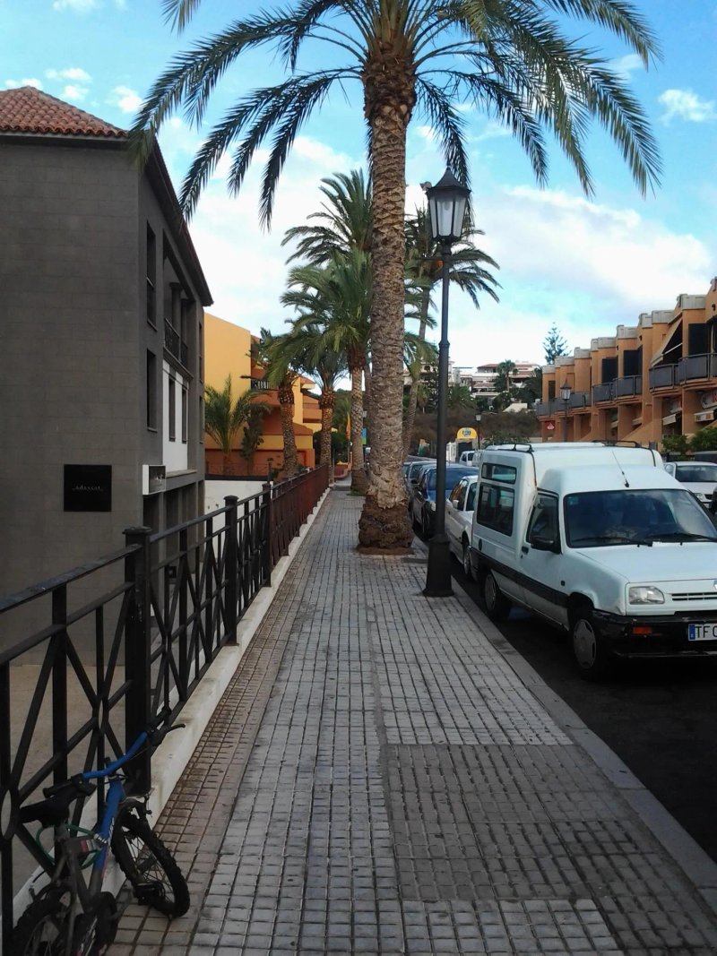 Las Tres Palmeras