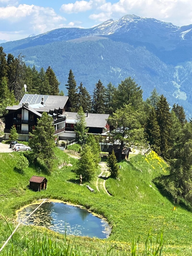 Restaurant Cabane de la Matze