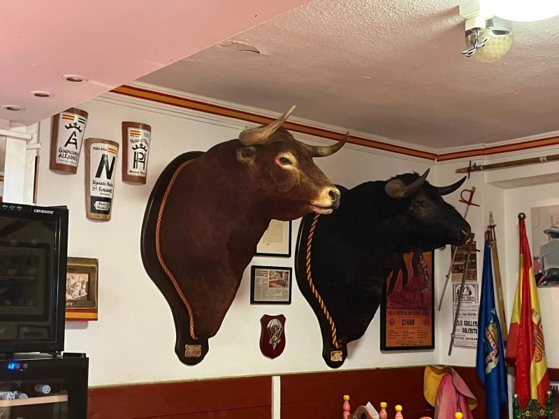 La Alternativa