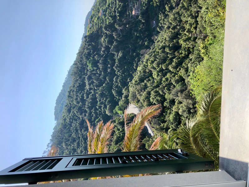Il Nettare