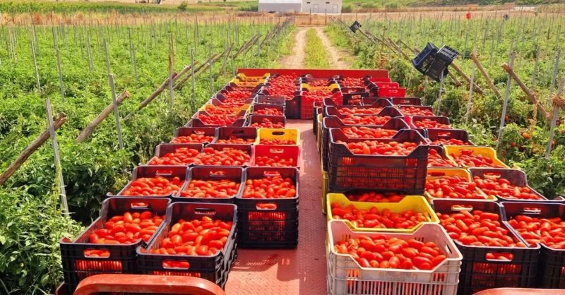 La Bottega Del Contadino