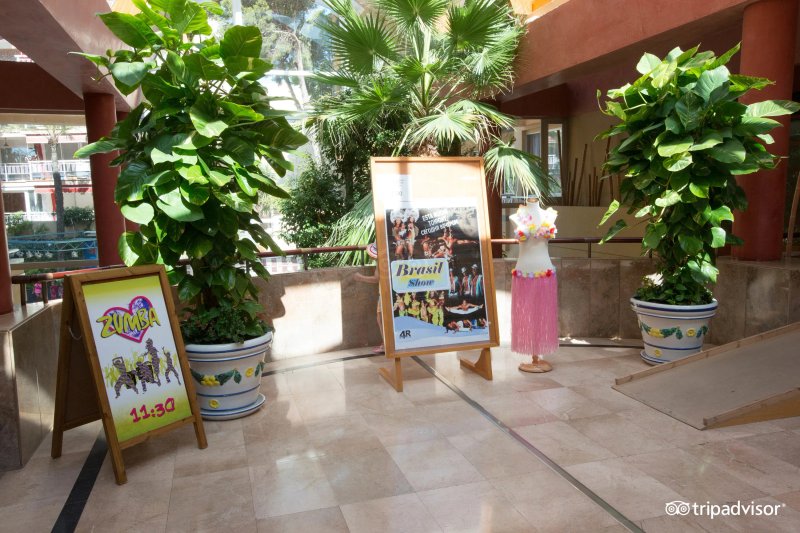 4R Playa Park