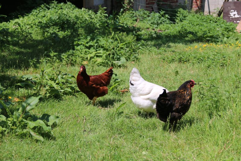 La Ferme du Beaupré