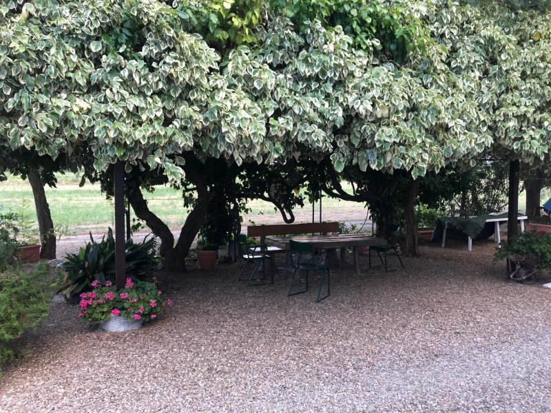 Agriturismo Masseria Mascitelli
