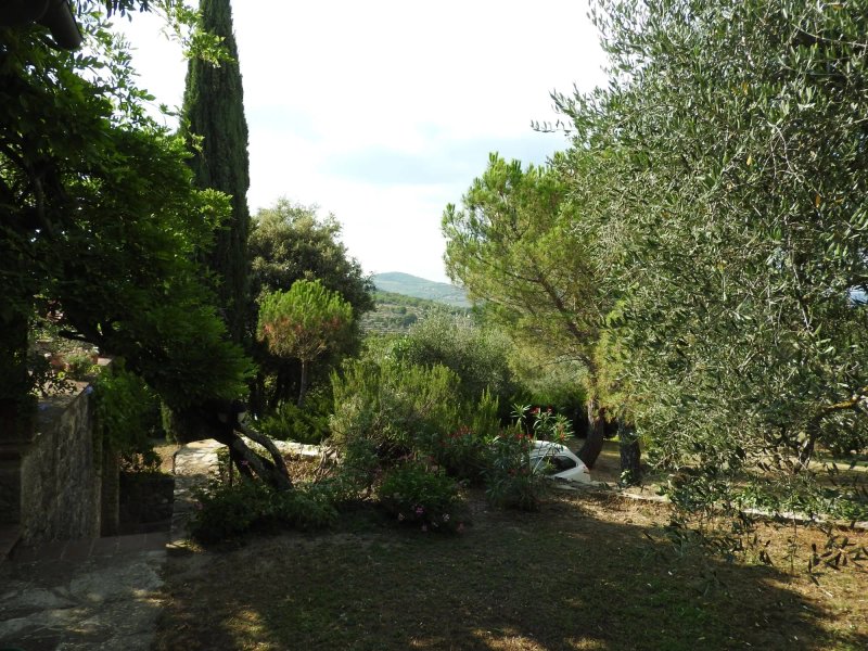 Il Poggerino