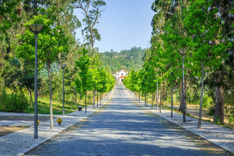 Pombal