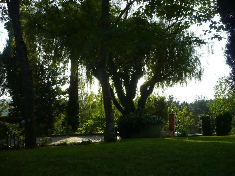 Casas Dos Infantes