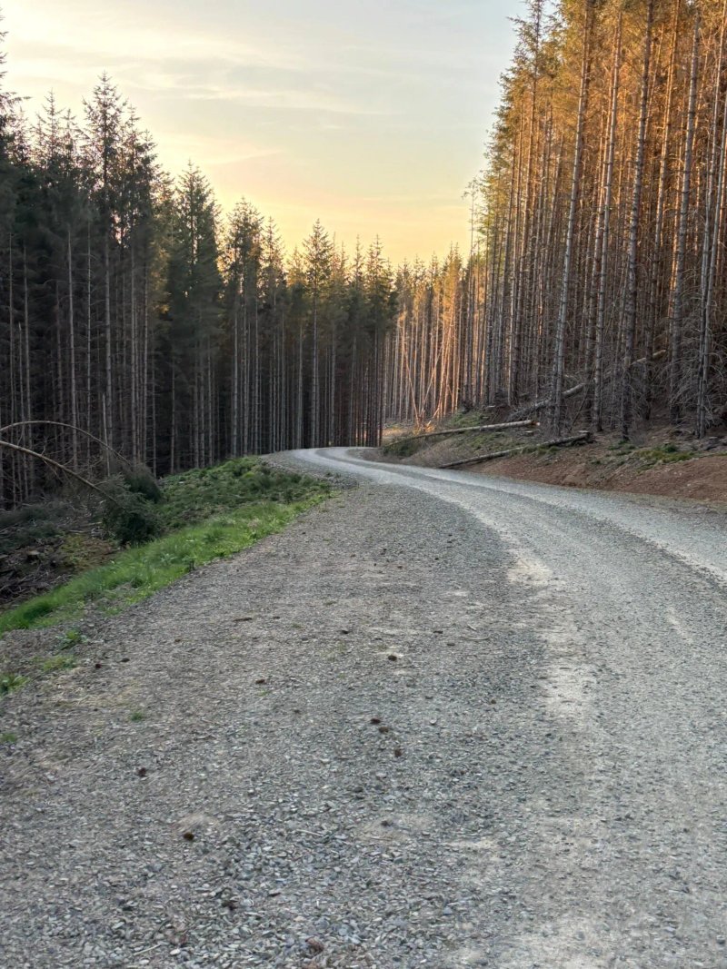 Forest Holidays Glentress, Peebles