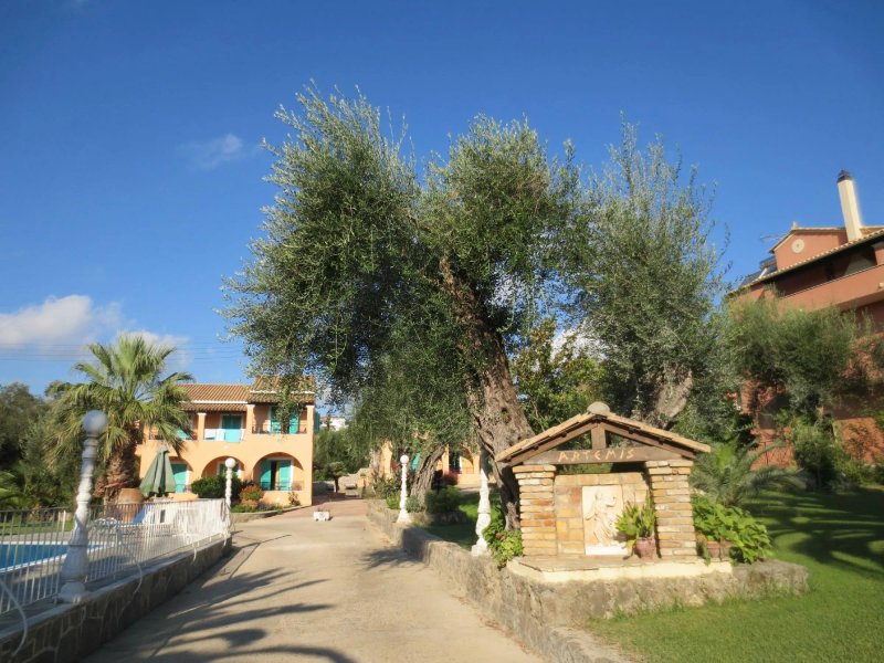 Artemis Apartments ( Yiannis House)