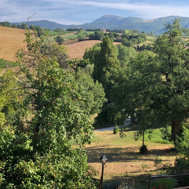 Da Foschetta  Agriturismo B&B