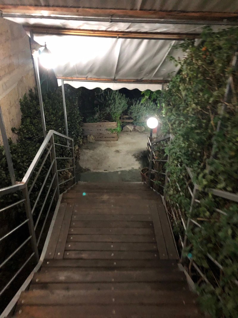Bellebuono