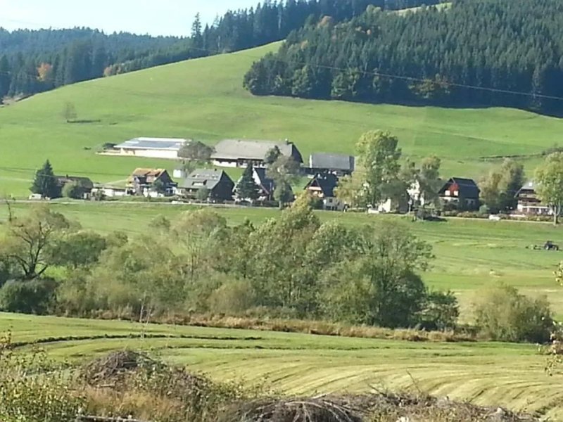 Hotel Sonnenmatte