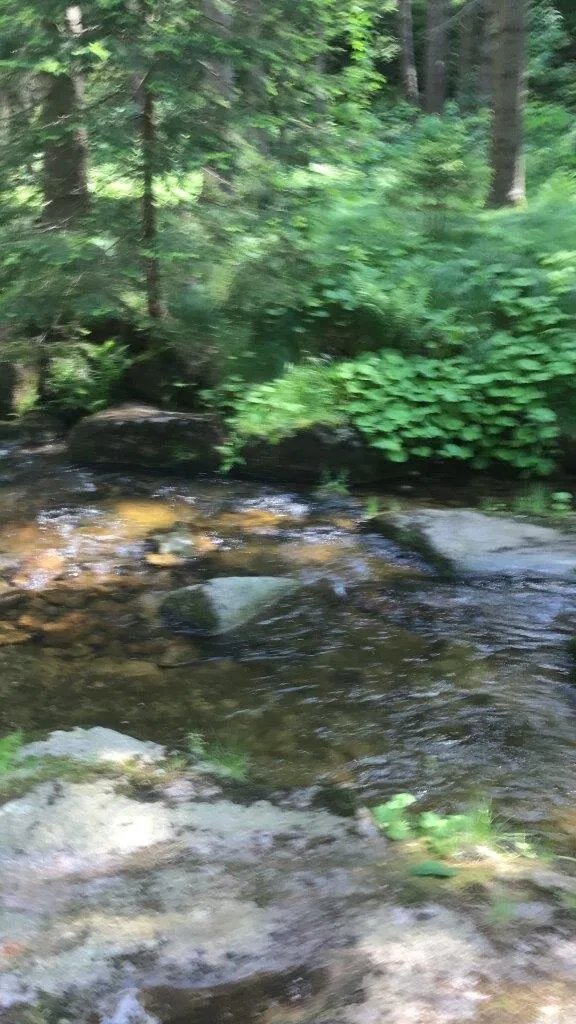 Auersbergkonig